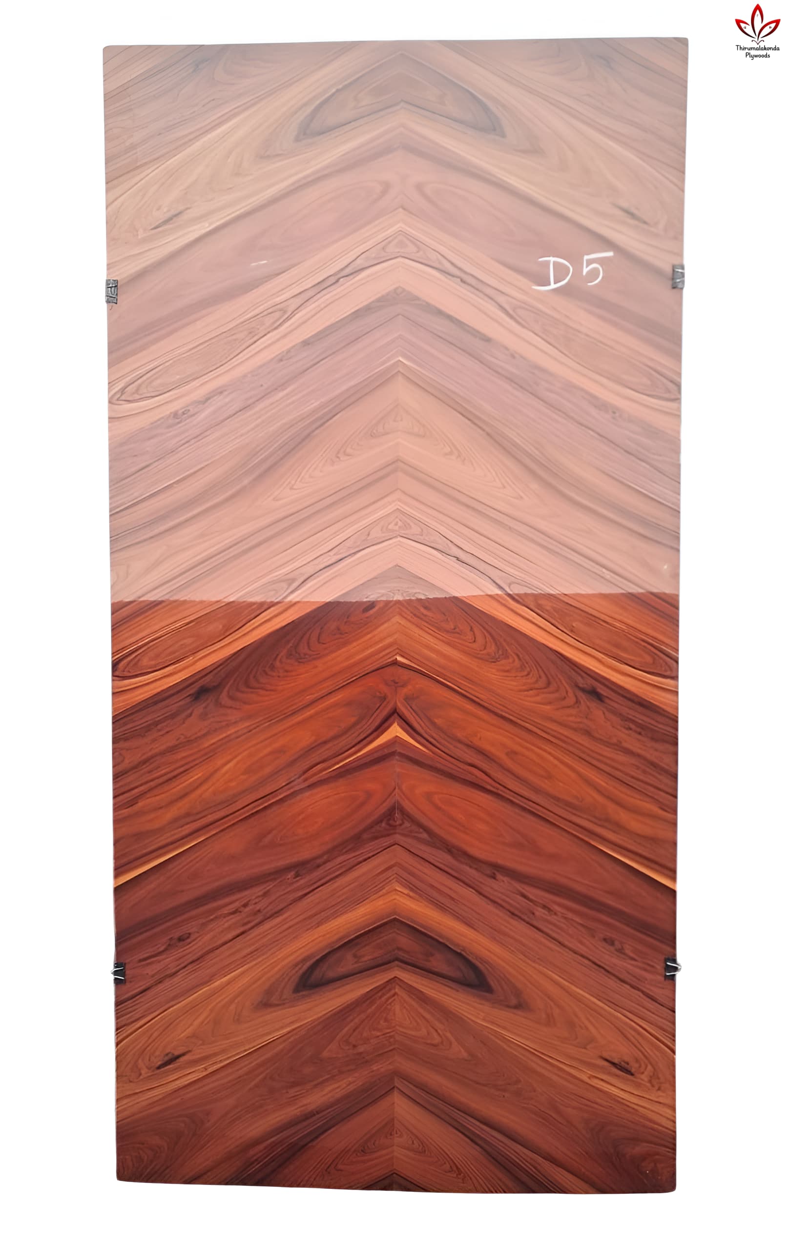 Veneer doors-5